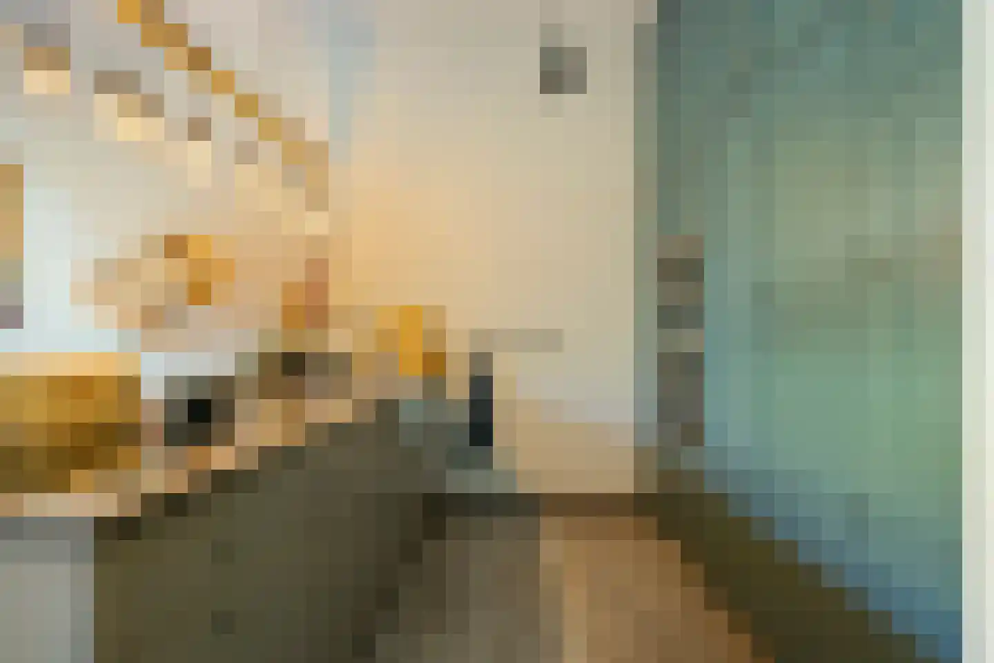 De Beeringen 3 Bemmel thumbnail 9