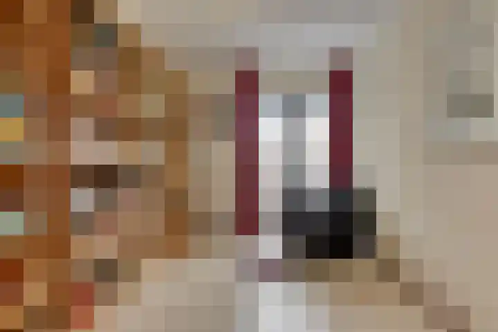 De Beeringen 33 Bemmel thumbnail 17