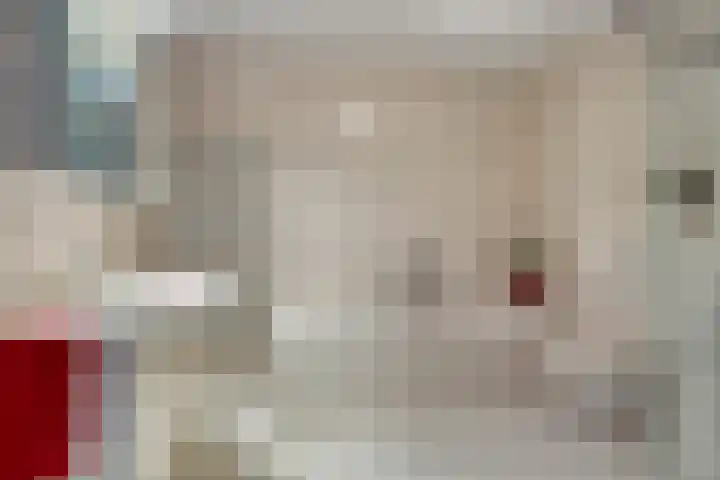 De Beeringen 33 Bemmel thumbnail 20