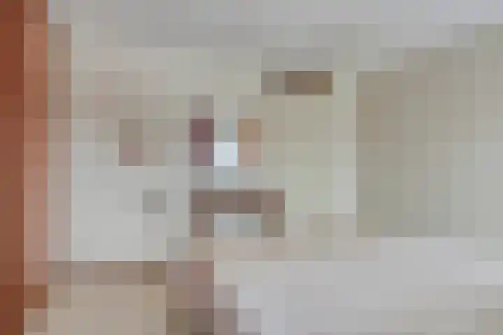 De Beeringen 33 Bemmel thumbnail 21