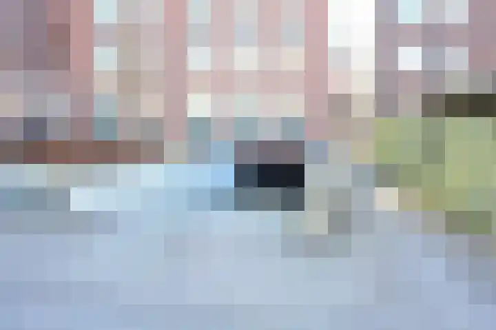 De Beeringen 33 Bemmel thumbnail 23