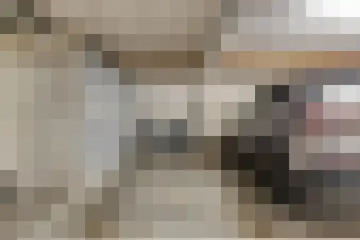 De Beeringen 33 Bemmel thumbnail 24