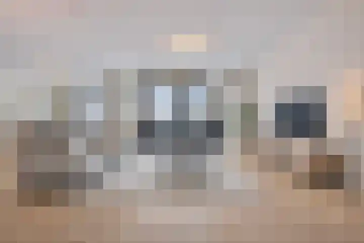 De Beeringen 33 Bemmel thumbnail 29