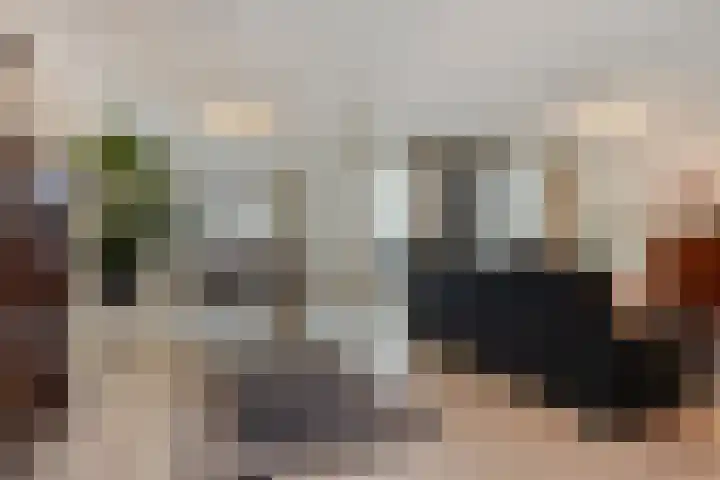 De Beeringen 33 Bemmel thumbnail 6