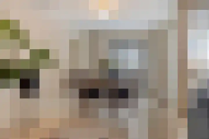 De Beeringen 33 Bemmel thumbnail 7