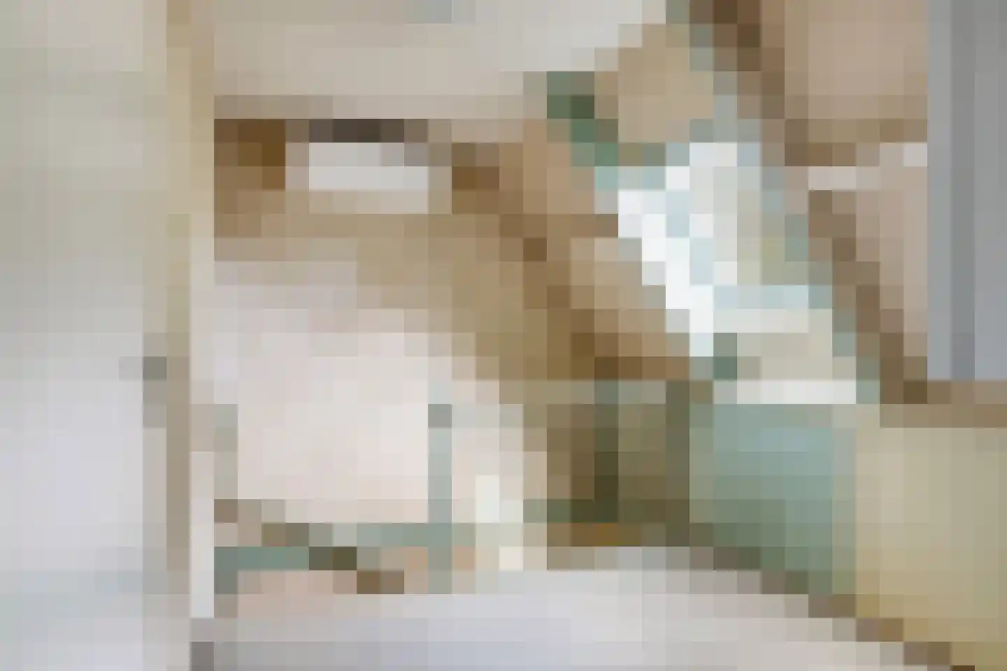 de Beerze 2 Woerden thumbnail 10