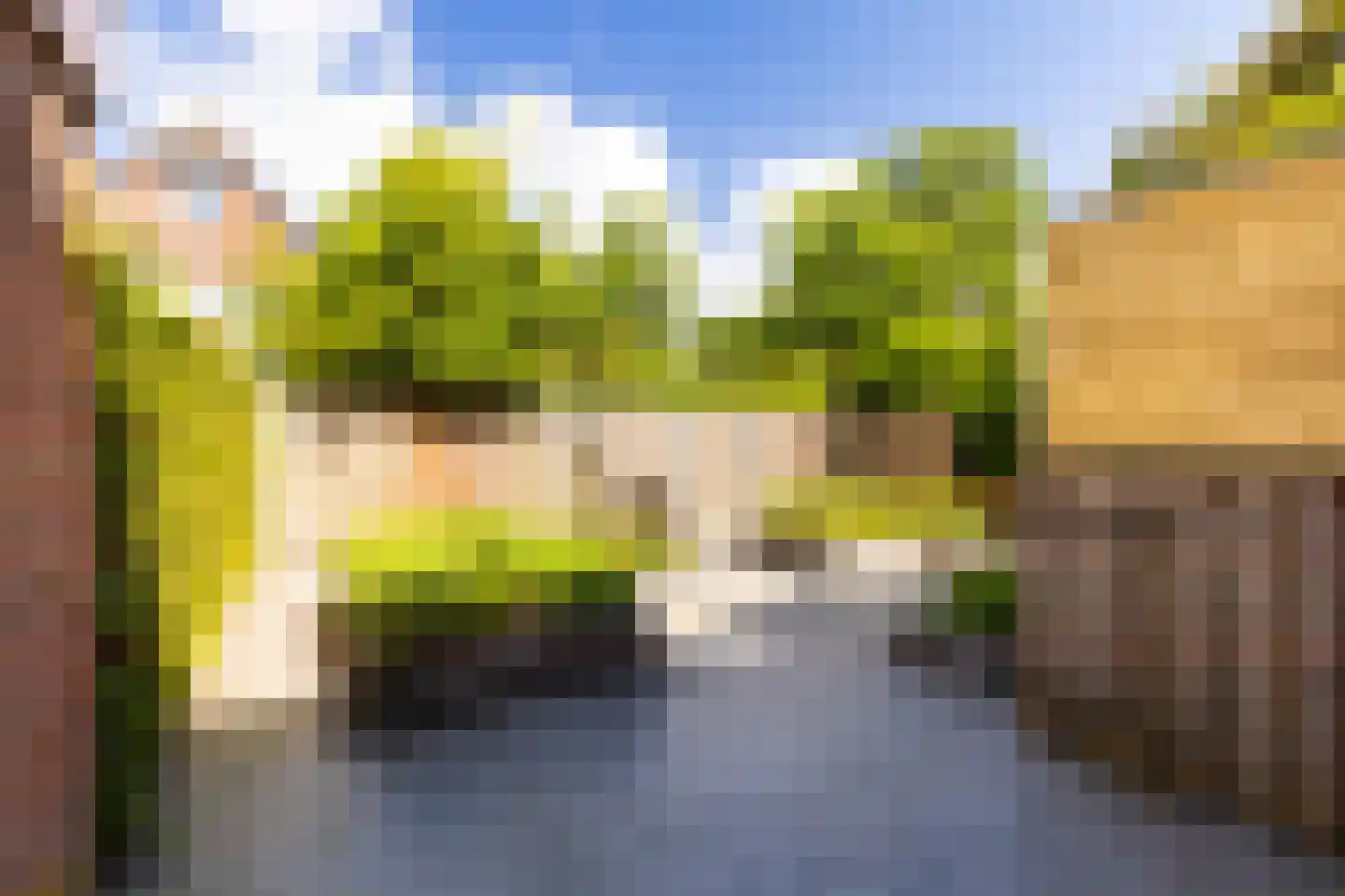 de Beerze 2 Woerden thumbnail 17