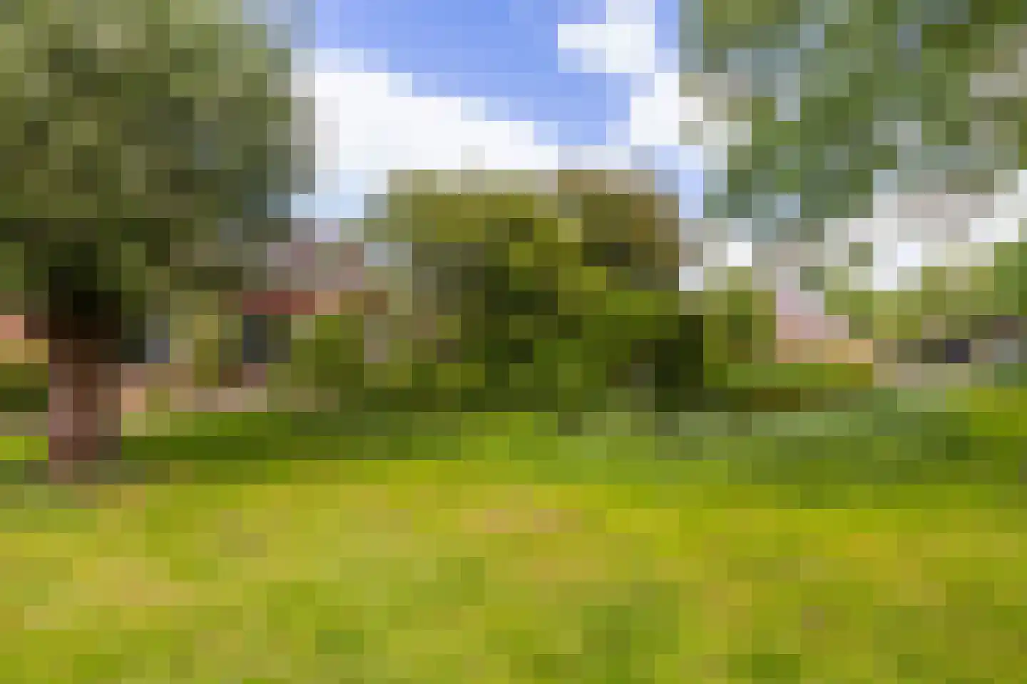 de Beerze 2 Woerden thumbnail 20