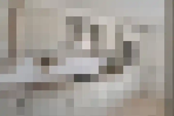 de Beerze 9 Woerden thumbnail 10