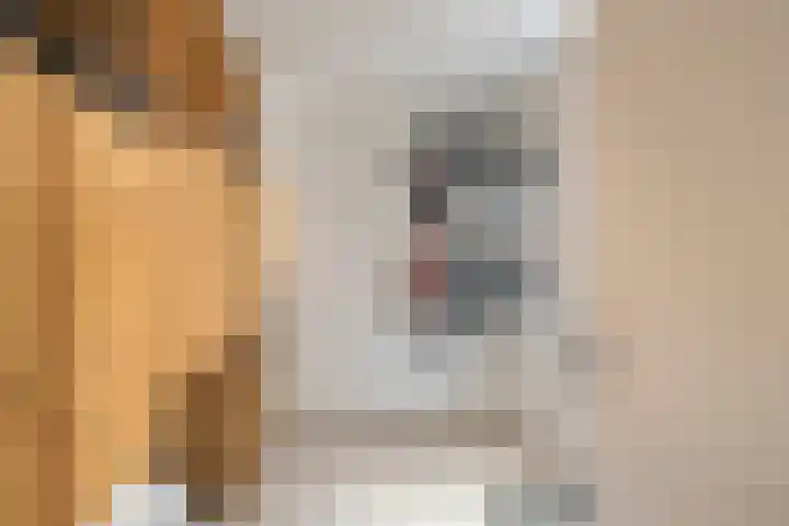 de Beerze 9 Woerden thumbnail 23