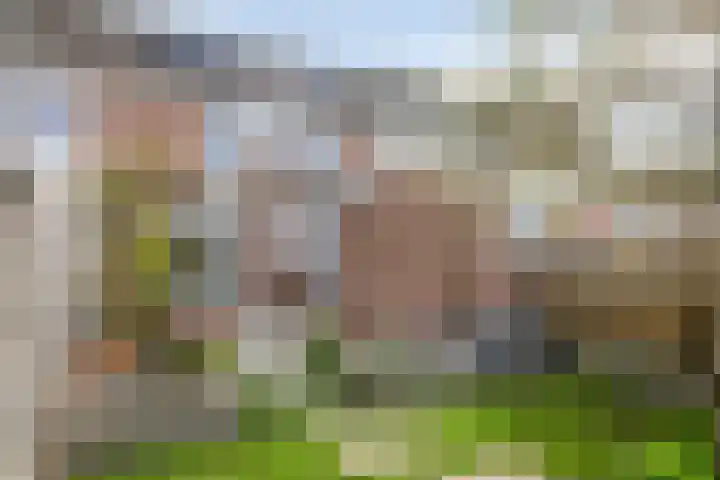 de Beerze 9 Woerden thumbnail 24