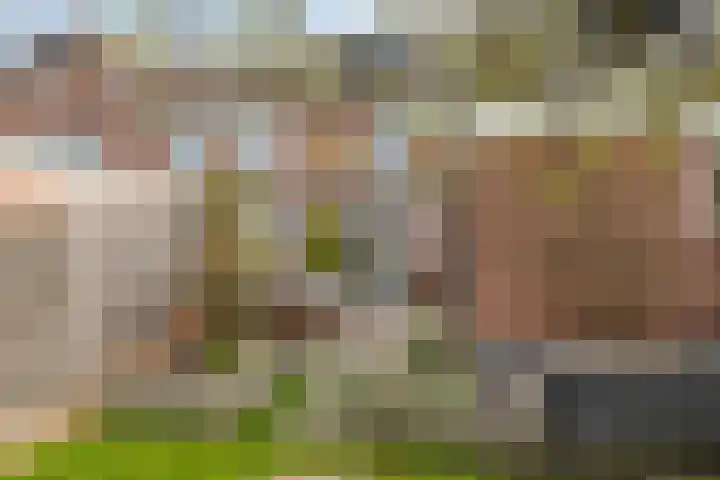 de Beerze 9 Woerden thumbnail 25