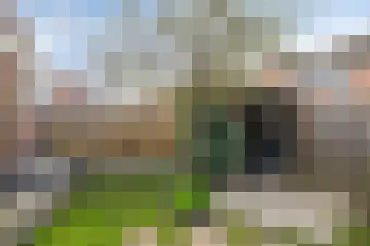 de Beerze 9 Woerden thumbnail 27