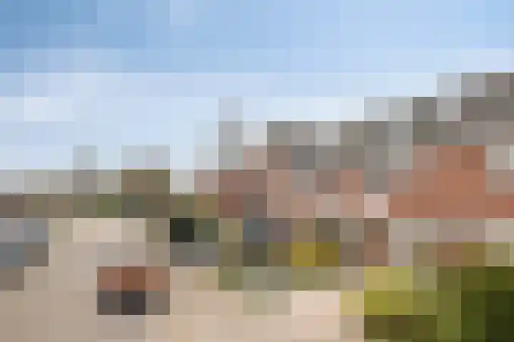 de Beerze 9 Woerden thumbnail 4