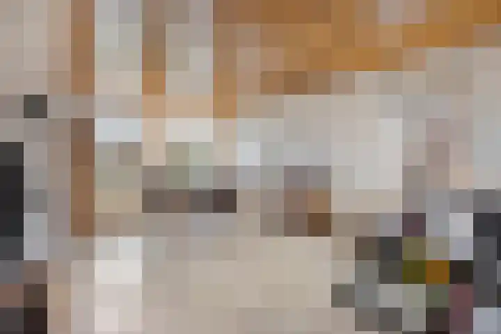 De Beeten 21 Wanroij thumbnail 10