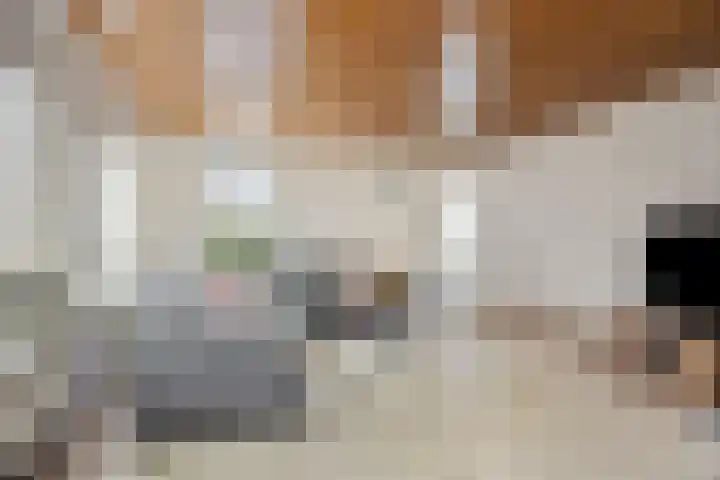 De Beeten 21 Wanroij thumbnail 11