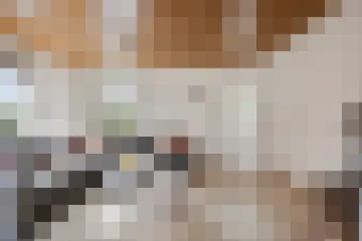 De Beeten 21 Wanroij thumbnail 12