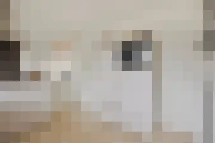 De Beeten 21 Wanroij thumbnail 19