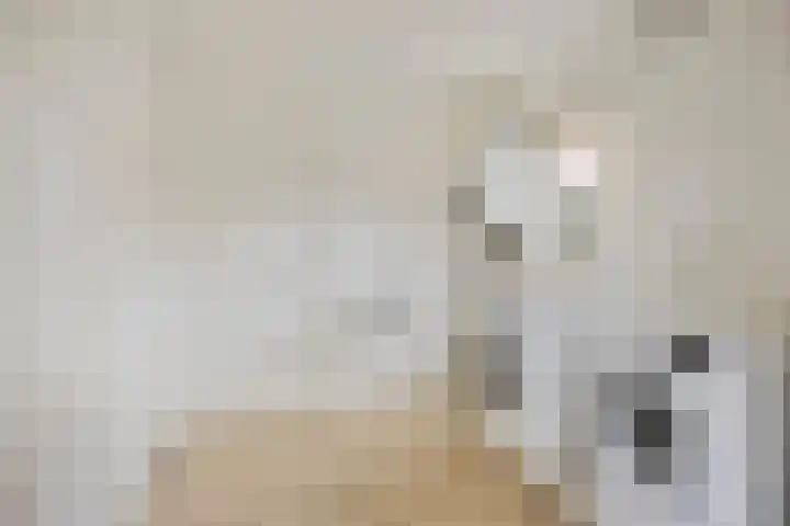 De Beeten 21 Wanroij thumbnail 20