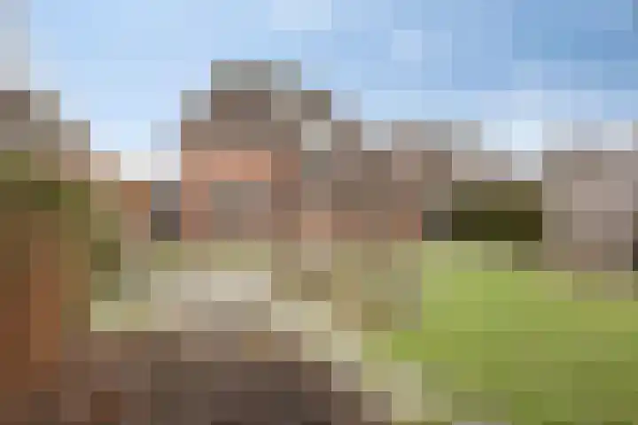 De Beeten 21 Wanroij thumbnail 39