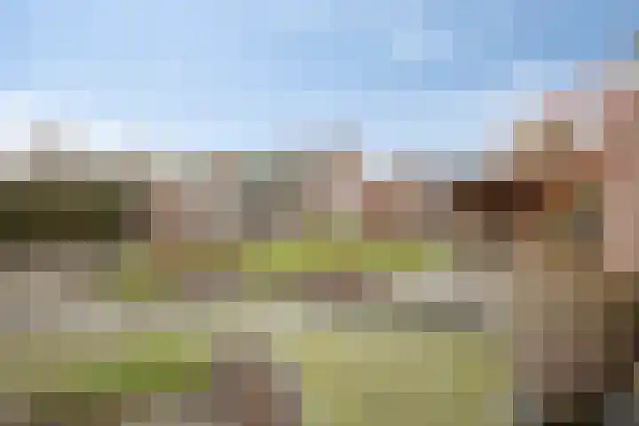 De Beeten 21 Wanroij thumbnail 4