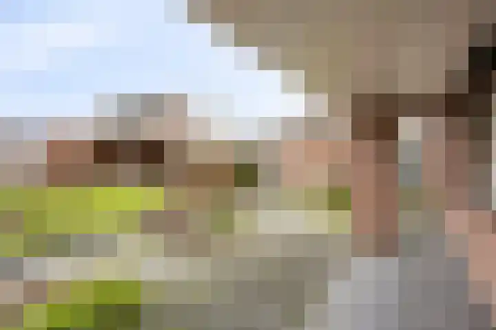 De Beeten 21 Wanroij thumbnail 40