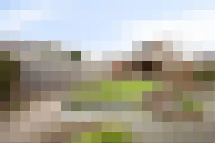 De Beeten 21 Wanroij thumbnail 41