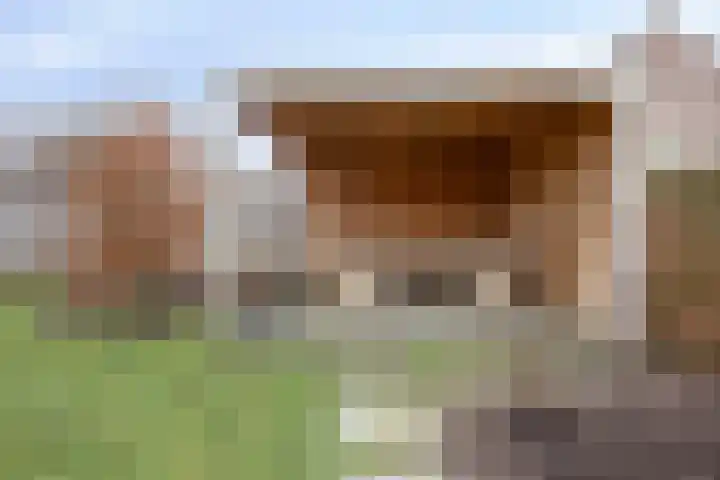 De Beeten 21 Wanroij thumbnail 42
