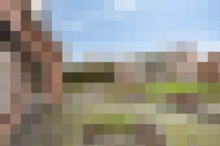 De Beeten 21 Wanroij thumbnail 44