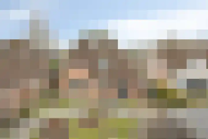 De Beeten 21 Wanroij thumbnail 45