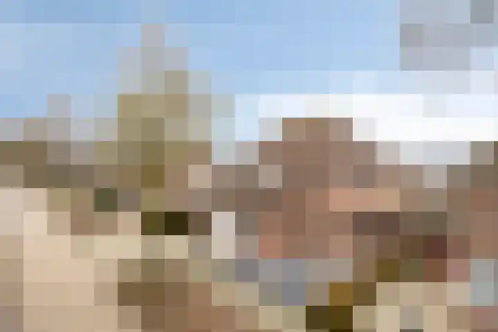 De Beeten 21 Wanroij thumbnail 47