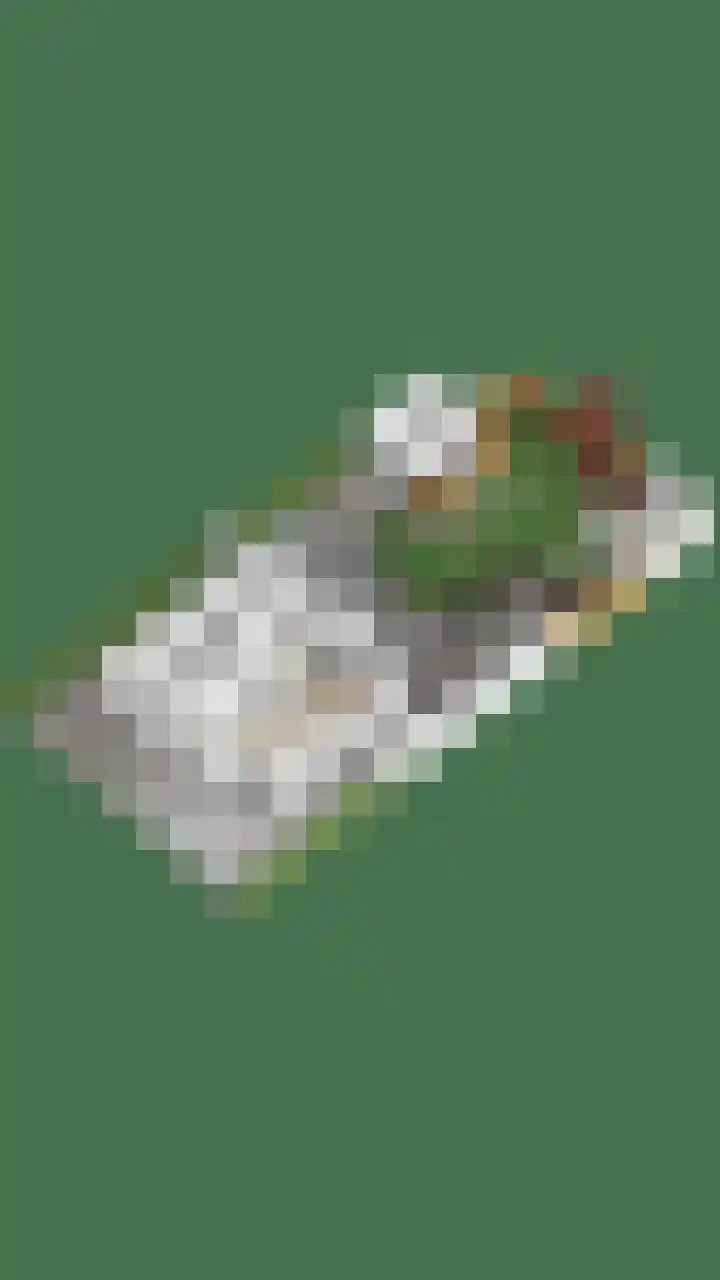 De Beeten 21 Wanroij thumbnail 65
