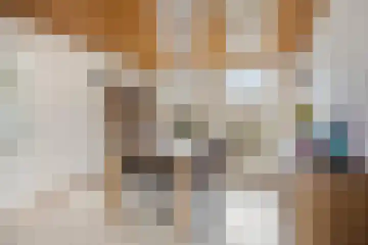 De Beeten 21 Wanroij thumbnail 7