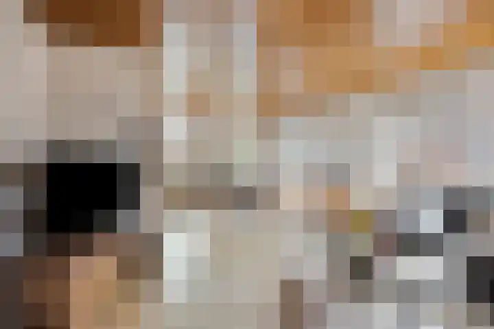 De Beeten 21 Wanroij thumbnail 9