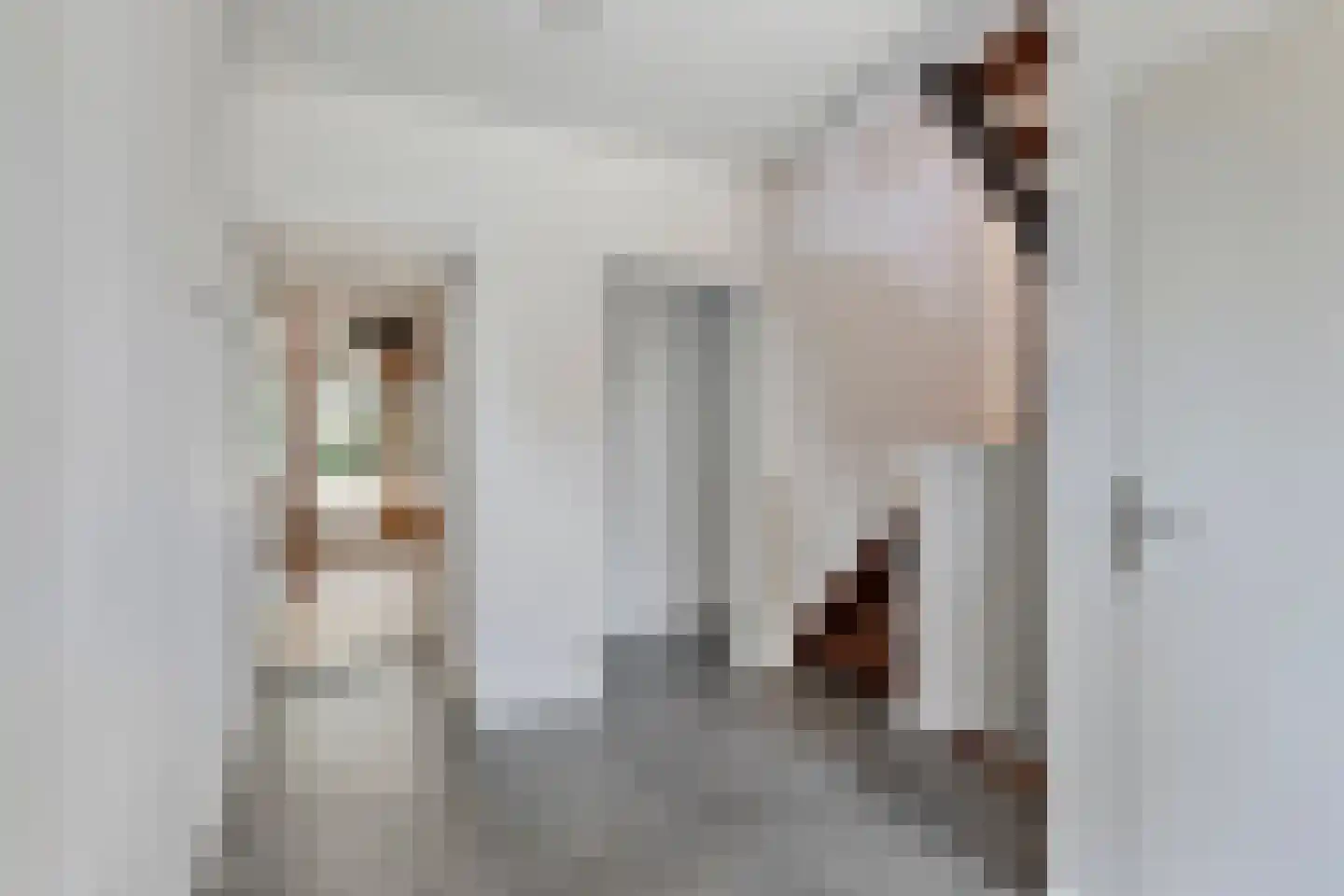 De Beeten 6 Wanroij thumbnail 11