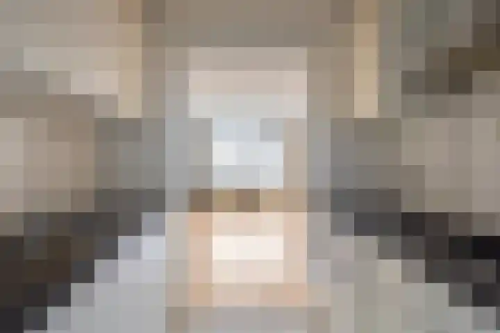 De Beiaard 5 Boxtel thumbnail 8
