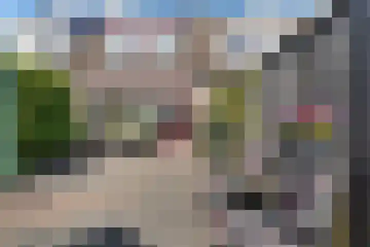 de Beiaard 65 Middelburg thumbnail 23