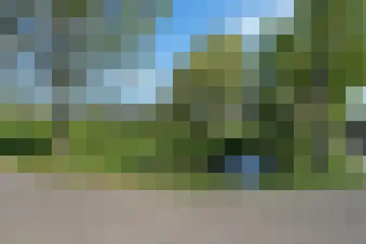 de Beiaard 65 Middelburg thumbnail 31