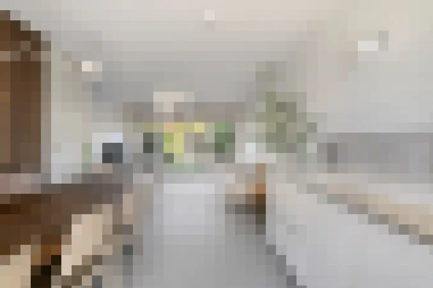 De Beide Vlooswijkenlaan 20 Linschoten thumbnail 10