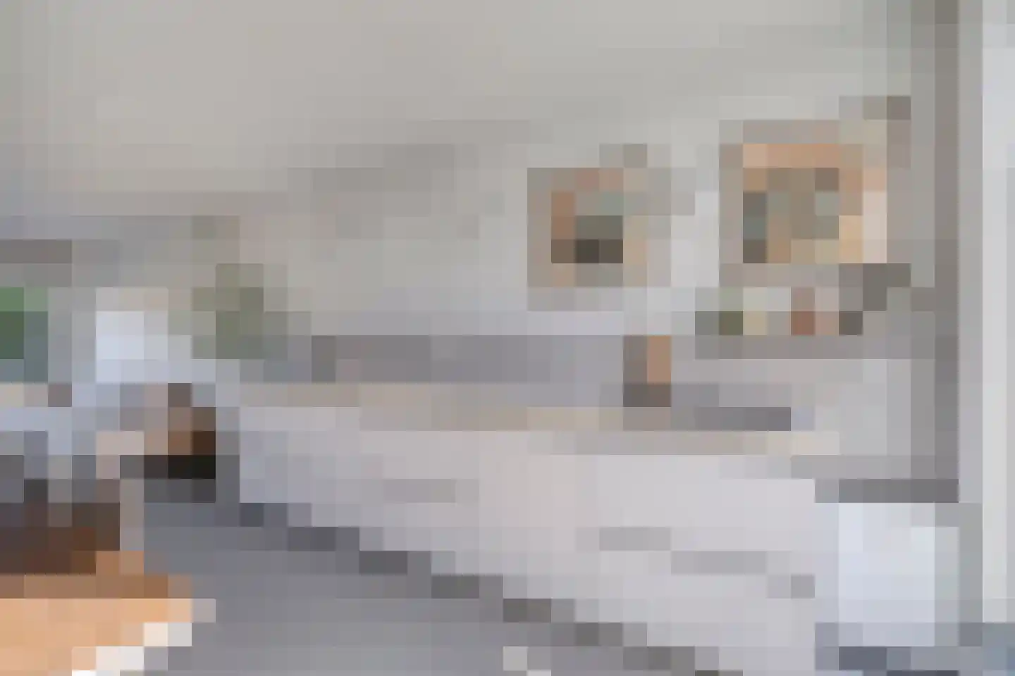 De Beide Vlooswijkenlaan 20 Linschoten thumbnail 13