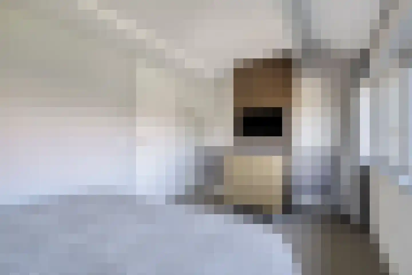 De Beide Vlooswijkenlaan 20 Linschoten thumbnail 17