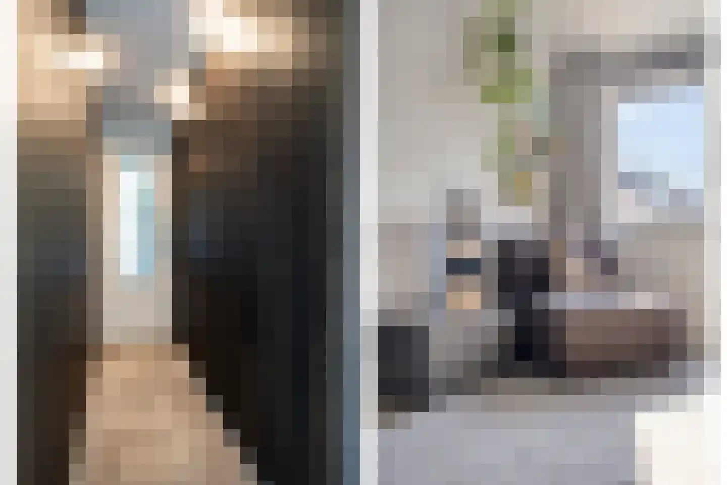 De Beide Vlooswijkenlaan 20 Linschoten thumbnail 19