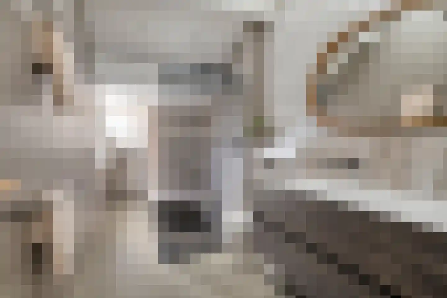 De Beide Vlooswijkenlaan 20 Linschoten thumbnail 22