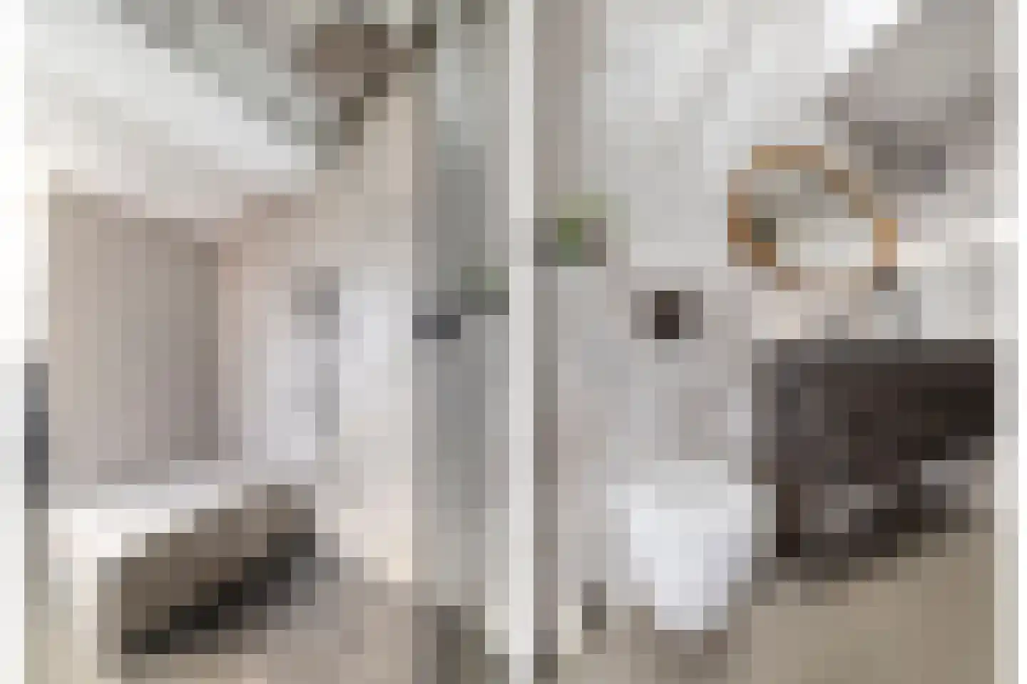 De Beide Vlooswijkenlaan 20 Linschoten thumbnail 23