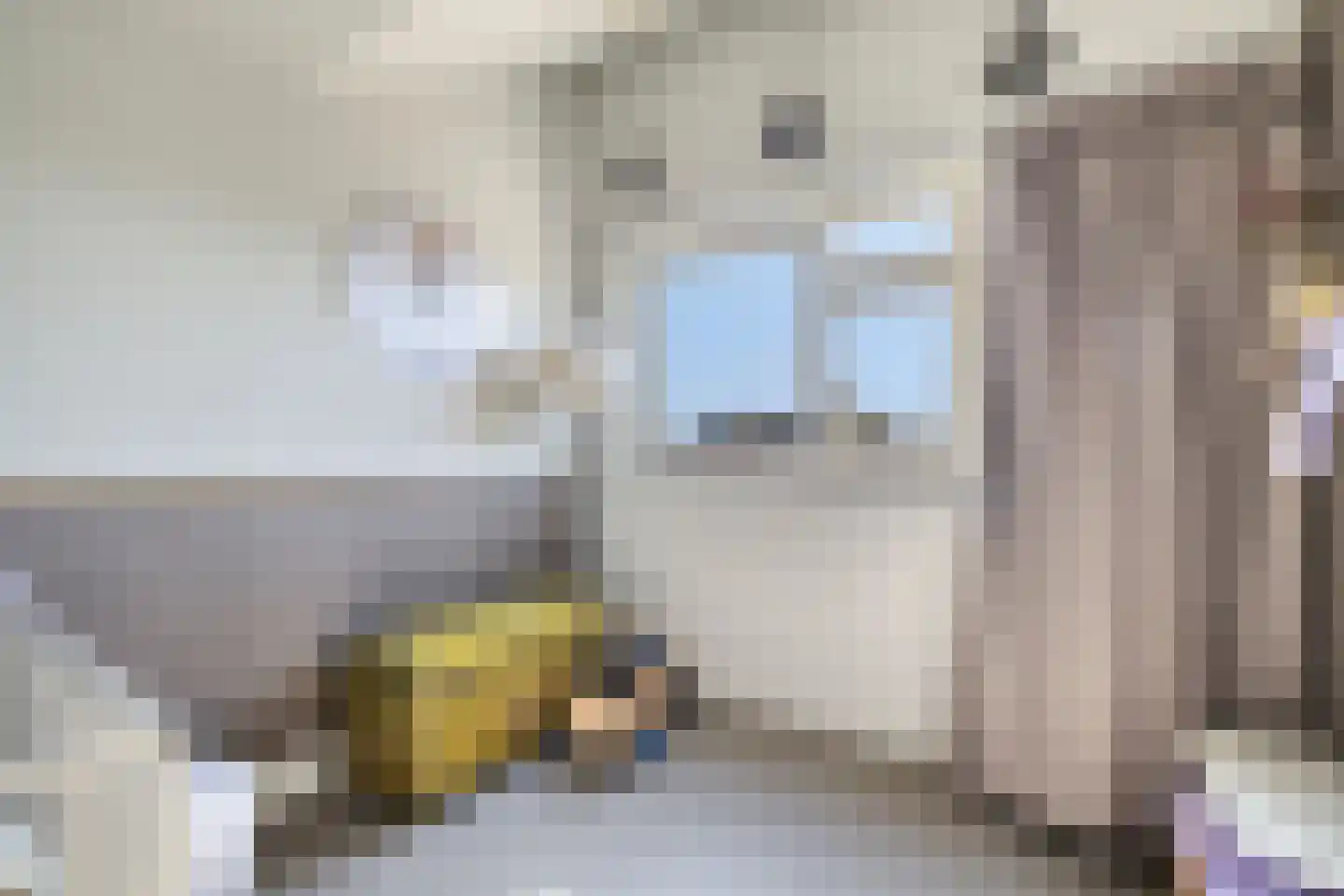 De Beide Vlooswijkenlaan 20 Linschoten thumbnail 28