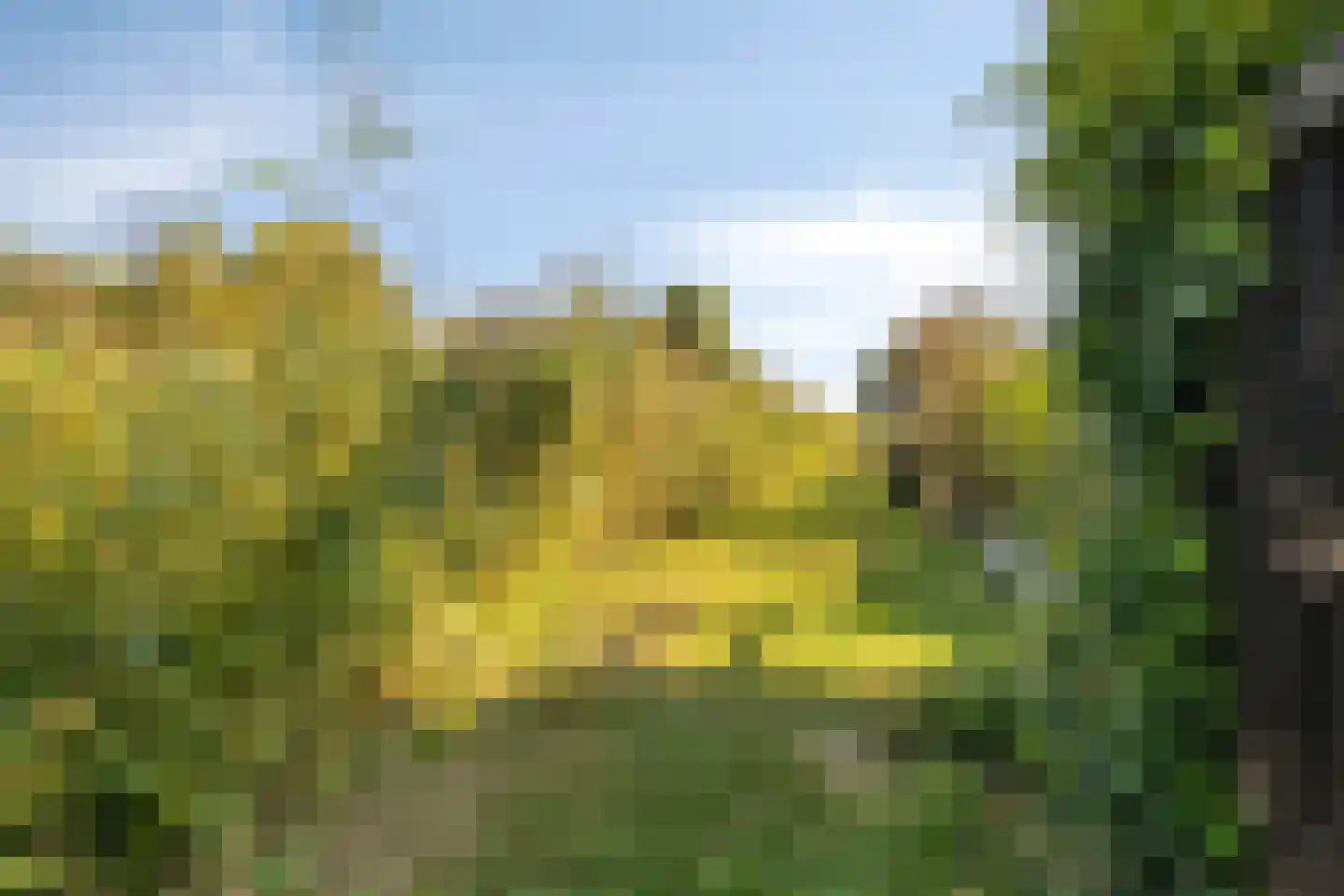 De Beide Vlooswijkenlaan 20 Linschoten thumbnail 33