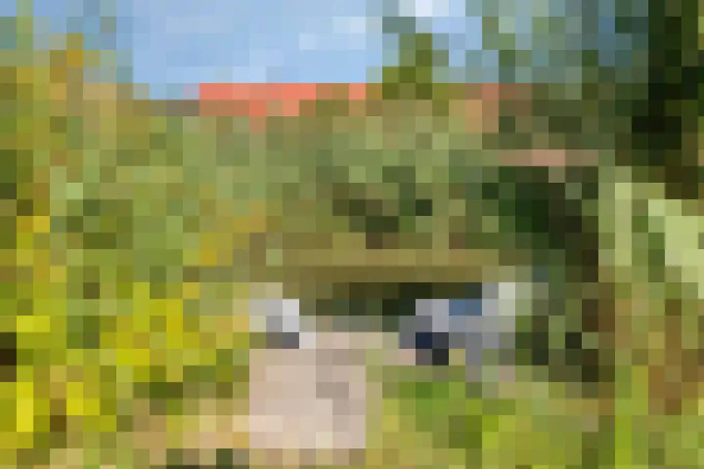 De Beide Vlooswijkenlaan 20 Linschoten thumbnail 34