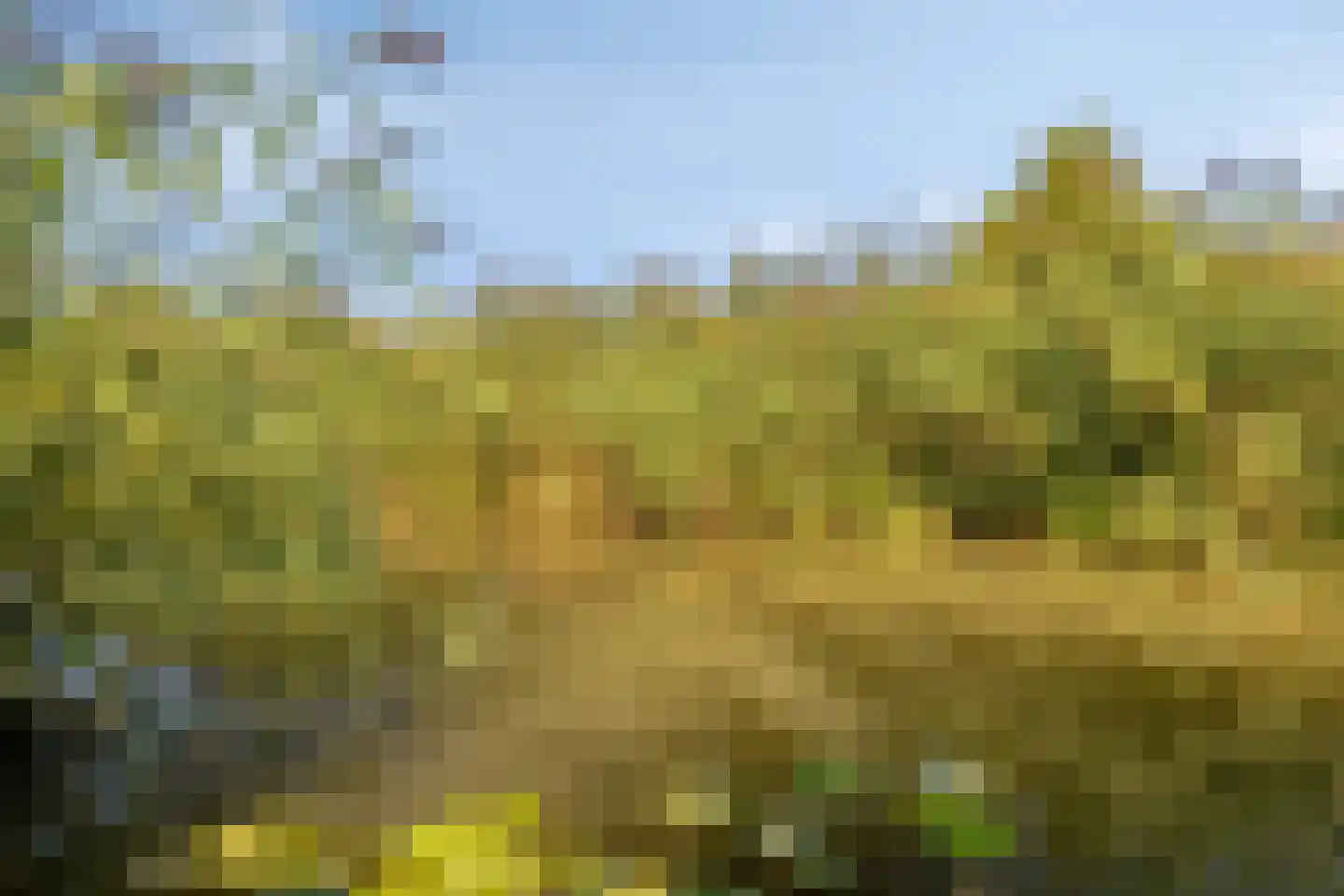 De Beide Vlooswijkenlaan 20 Linschoten thumbnail 35