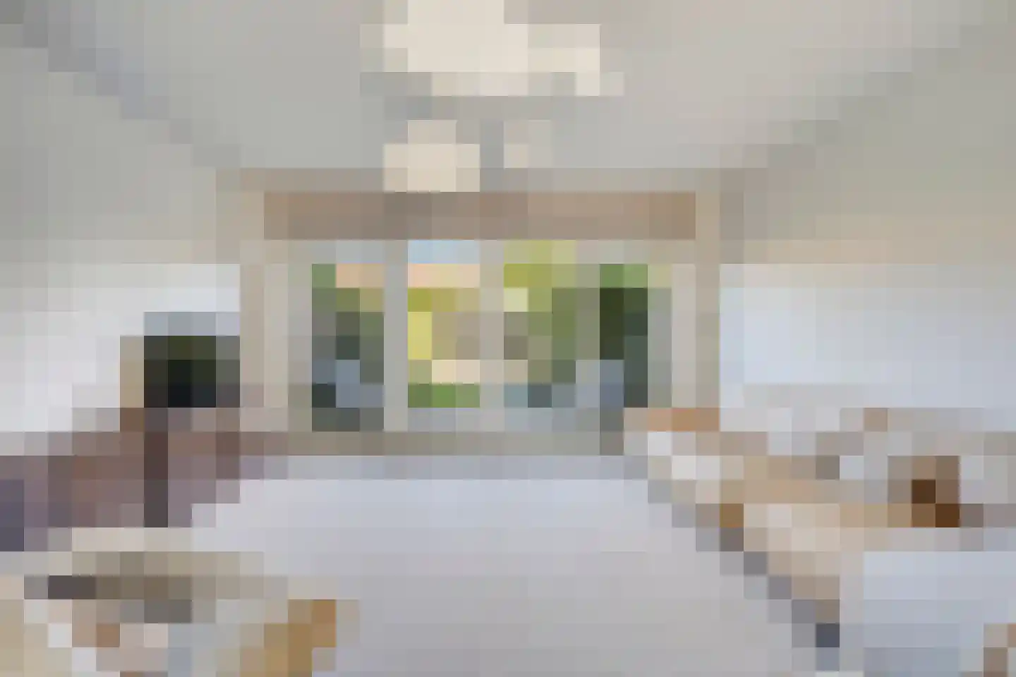 De Beide Vlooswijkenlaan 20 Linschoten thumbnail 5