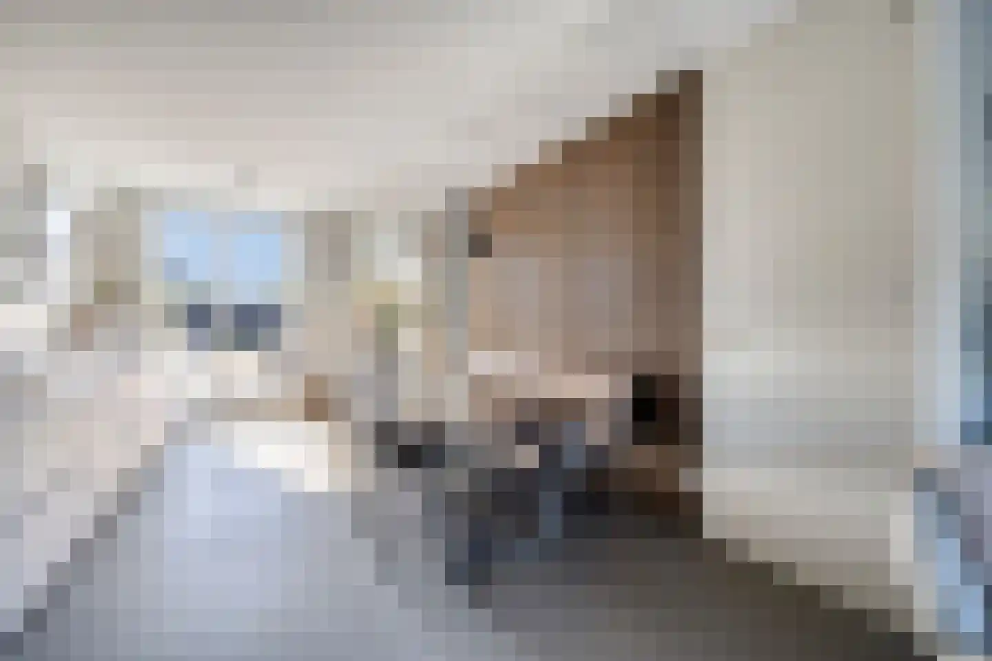 De Beide Vlooswijkenlaan 20 Linschoten thumbnail 8